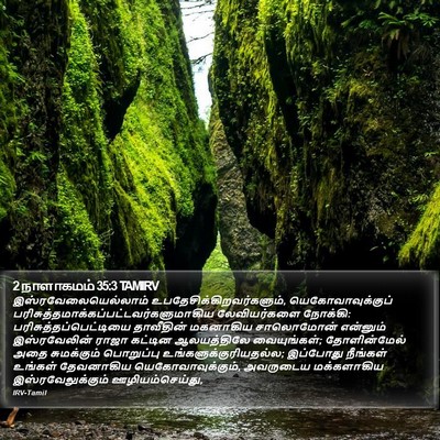 2 நாளாகமம் 35:3 TAMIRV Bible Verse Image