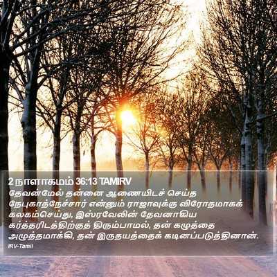 2 நாளாகமம் 36:13 TAMIRV Bible Verse Image