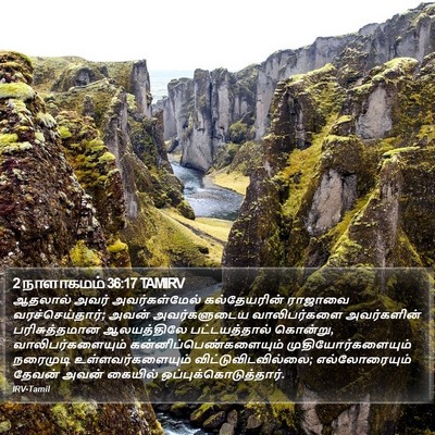 2 நாளாகமம் 36:17 TAMIRV Bible Verse Image