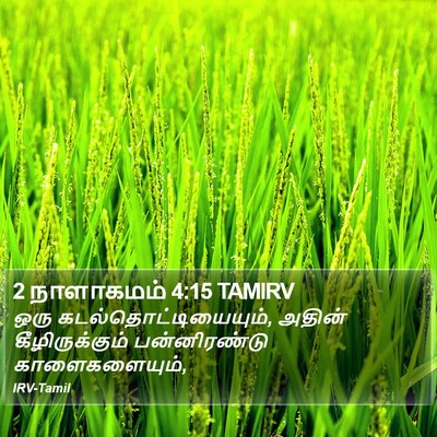 2 நாளாகமம் 4:15 TAMIRV Bible Verse Image