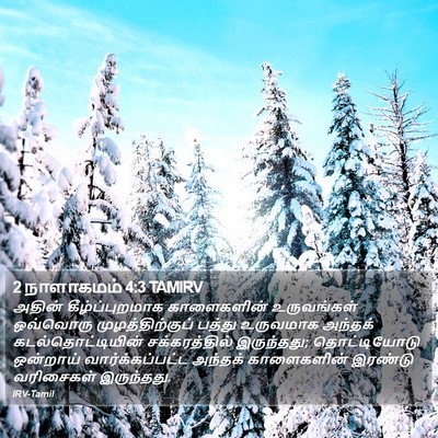 2 நாளாகமம் 4:3 TAMIRV Bible Verse Image