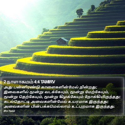 2 நாளாகமம் 4:4 TAMIRV Bible Verse Image