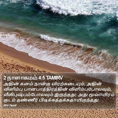 2 நாளாகமம் 4:5 TAMIRV Bible Verse Image