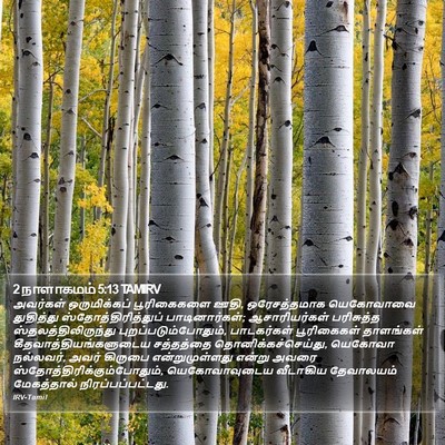2 நாளாகமம் 5:13 TAMIRV Bible Verse Image