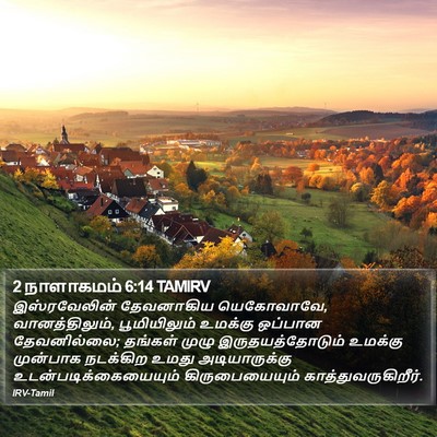 2 நாளாகமம் 6:14 TAMIRV Bible Verse Image
