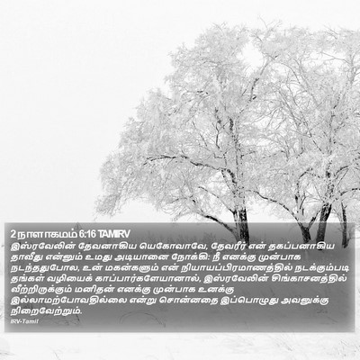 2 நாளாகமம் 6:16 TAMIRV Bible Verse Image