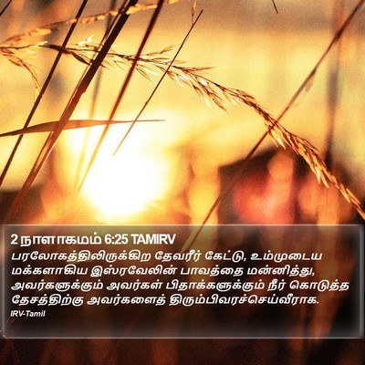 2 நாளாகமம் 6:25 TAMIRV Bible Verse Image
