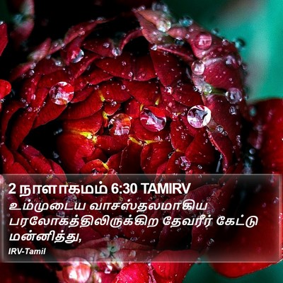2 நாளாகமம் 6:30 TAMIRV Bible Verse Image