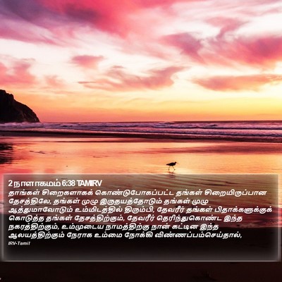 2 நாளாகமம் 6:38 TAMIRV Bible Verse Image