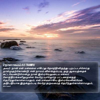 2 நாளாகமம் 6:5 TAMIRV Bible Verse Image