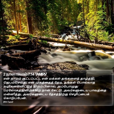 2 நாளாகமம் 7:14 TAMIRV Bible Verse Image