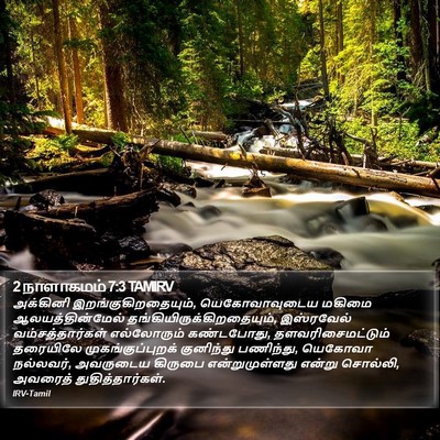 2 நாளாகமம் 7:3 TAMIRV Bible Verse Image