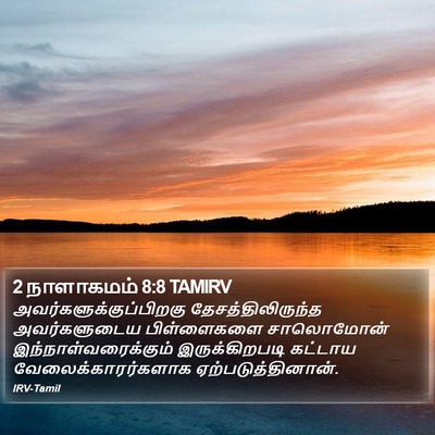 2 நாளாகமம் 8:8 TAMIRV Bible Verse Image