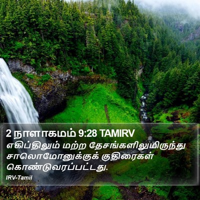 2 நாளாகமம் 9:28 TAMIRV Bible Verse Image