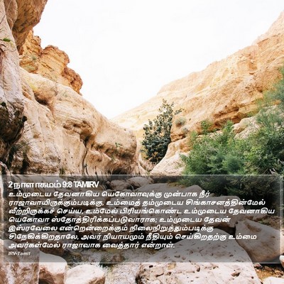 2 நாளாகமம் 9:8 TAMIRV Bible Verse Image