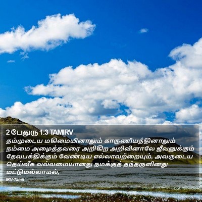 2 பேதுரு 1:3 TAMIRV Bible Verse Image