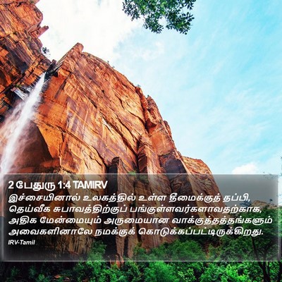 2 பேதுரு 1:4 TAMIRV Bible Verse Image