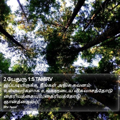 2 பேதுரு 1:5 TAMIRV Bible Verse Image