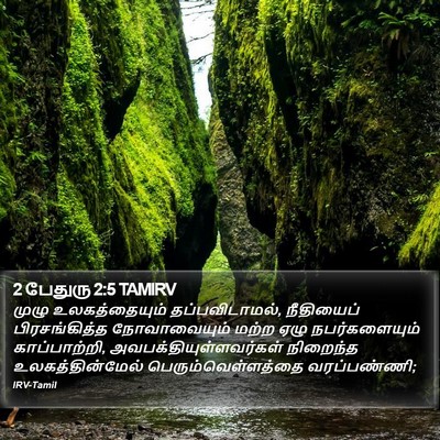 2 பேதுரு 2:5 TAMIRV Bible Verse Image