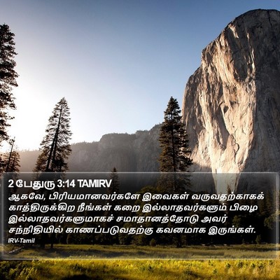 2 பேதுரு 3:14 TAMIRV Bible Verse Image