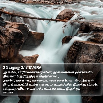 2 பேதுரு 3:17 TAMIRV Bible Verse Image