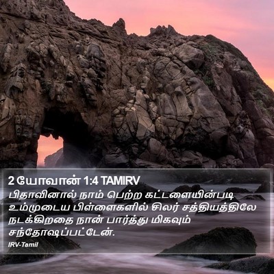 2 யோவான் 1:4 TAMIRV Bible Verse Image