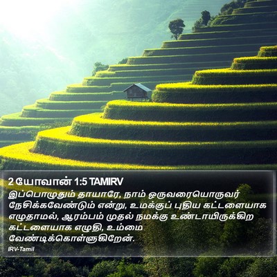 2 யோவான் 1:5 TAMIRV Bible Verse Image