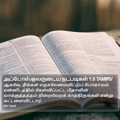 அப்போஸ்தலருடைய நடபடிகள் 1:5 TAMIRV Bible Verse Image