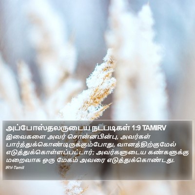 அப்போஸ்தலருடைய நடபடிகள் 1:9 TAMIRV Bible Verse Image