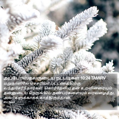 அப்போஸ்தலருடைய நடபடிகள் 10:24 TAMIRV Bible Verse Image