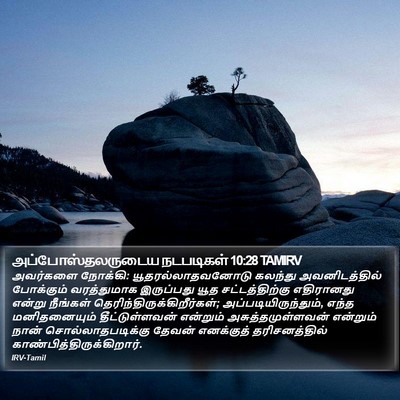அப்போஸ்தலருடைய நடபடிகள் 10:28 TAMIRV Bible Verse Image