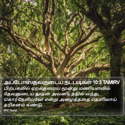 அப்போஸ்தலருடைய நடபடிகள் 10:3 TAMIRV Bible Verse Image