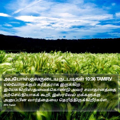 அப்போஸ்தலருடைய நடபடிகள் 10:36 TAMIRV Bible Verse Image