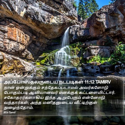 அப்போஸ்தலருடைய நடபடிகள் 11:12 TAMIRV Bible Verse Image