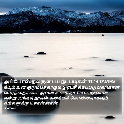 அப்போஸ்தலருடைய நடபடிகள் 11:14 TAMIRV Bible Verse Image