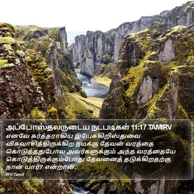 அப்போஸ்தலருடைய நடபடிகள் 11:17 TAMIRV Bible Verse Image