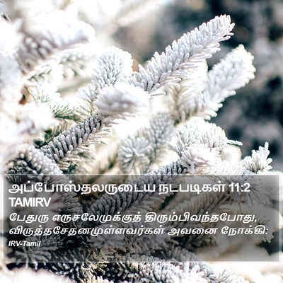 அப்போஸ்தலருடைய நடபடிகள் 11:2 TAMIRV Bible Verse Image