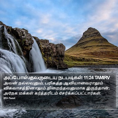 அப்போஸ்தலருடைய நடபடிகள் 11:24 TAMIRV Bible Verse Image