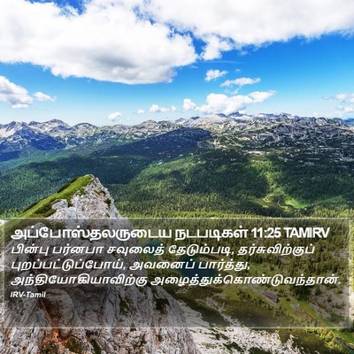 அப்போஸ்தலருடைய நடபடிகள் 11:25 TAMIRV Bible Verse Image