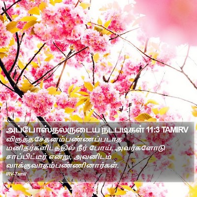 அப்போஸ்தலருடைய நடபடிகள் 11:3 TAMIRV Bible Verse Image