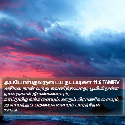 அப்போஸ்தலருடைய நடபடிகள் 11:6 TAMIRV Bible Verse Image