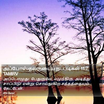 அப்போஸ்தலருடைய நடபடிகள் 11:7 TAMIRV Bible Verse Image