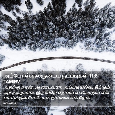 அப்போஸ்தலருடைய நடபடிகள் 11:8 TAMIRV Bible Verse Image