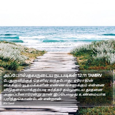 அப்போஸ்தலருடைய நடபடிகள் 12:11 TAMIRV Bible Verse Image