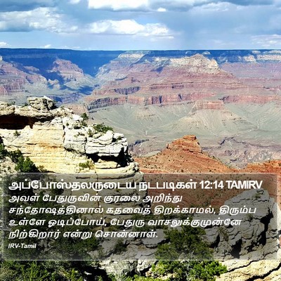 அப்போஸ்தலருடைய நடபடிகள் 12:14 TAMIRV Bible Verse Image