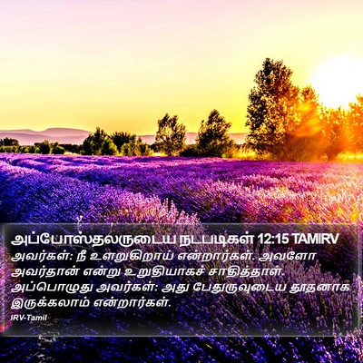 அப்போஸ்தலருடைய நடபடிகள் 12:15 TAMIRV Bible Verse Image