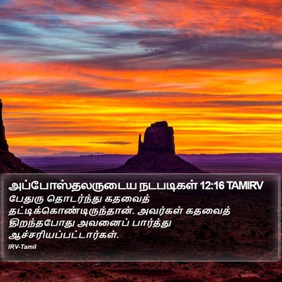 அப்போஸ்தலருடைய நடபடிகள் 12:16 TAMIRV Bible Verse Image