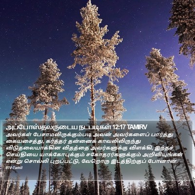 அப்போஸ்தலருடைய நடபடிகள் 12:17 TAMIRV Bible Verse Image