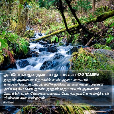 அப்போஸ்தலருடைய நடபடிகள் 12:8 TAMIRV Bible Verse Image