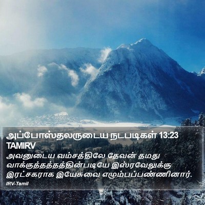 அப்போஸ்தலருடைய நடபடிகள் 13:23 TAMIRV Bible Verse Image